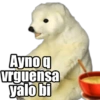 Aynog
vrguensa
yalo bi