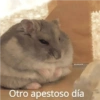 Animalitos con frases 1 ❤️😎 6