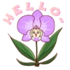 YWD Stickers 2021 16