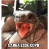 LARGA ESSE COPO