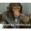 Deveras intelectus