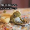 Animales Random 2🌸💥 6
