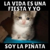 Michis pt.2 19
