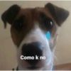 Como k no
