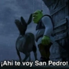 ¡Ahí te voy San Pedro!
