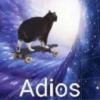 Gatinhos + reações 5