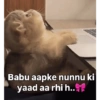 Babu aapke nunnu ki yaad aa rhi h..