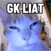 Kucing LUCU BGT 21
