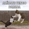 ALÉJATE TENGO
PAREJA
HECENIC