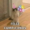 Cumpleaños Feli :D🥳 9