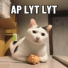 Kucing LUCU BGT 20