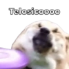 Telosicoooo