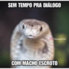 Nájila, a heroína de bsb 12
