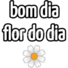 bom dia
flor do dia
