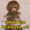 Macaquinhos reativos 🐒 13