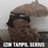 Meme bakekok cukurukuk 10