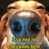 CACHORRO SALSICHA  11