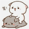 驾!