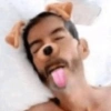 Dog Filter Goofing