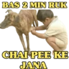 POPULAR FUNNY MEMES 8