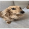 Cat🧚🧚 7