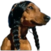 .