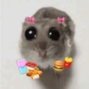Cricetino Sad Hamster 25