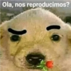 Ola, nos reproducimos?