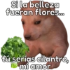 🐶Cheems Bebé🍼 8