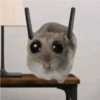 Cricetino Sad Hamster 15