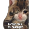 Porque eres
asi conmigo?