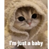 Kedi 8