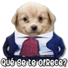 MEMES Enjoy 1.0 🫂🎁 26