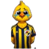 Galatasaray 15
