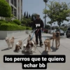 Cuadraditos pa usté 27