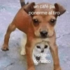 Algo Random 3👽👾 5