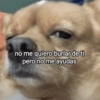 no me quiero burlar de ti pero no me ayudas