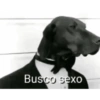 Meme. | @ocenferios  Haki. 6