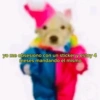 Algo Random 3👽👾 7