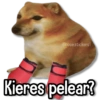 Kieres pelear?