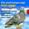 Kita awali bangun pagi dengan ungkapan rasa syukur Selamat pagi Salam Sehat, Semangat dan Sukses selalu. selamat beraktivitas