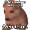 🐶Cheems Bebé🍼 16