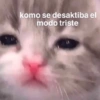 MEMES XD  15
