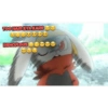 Pokemon 15