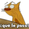 CatDog 16