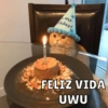 Cumpleaños Feli :D🥳 12