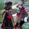 🍃🐶Perro Chamán 2 | Pachamama🐶🍃 6