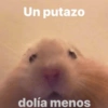 Cuadraditos pa usté 13