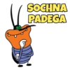 SOCHNA
PADEGA