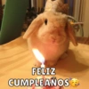Cumpleaños🥳 13